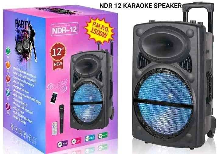 Ndr-12 12inch Plastic Party Box with Tws Bluetooth Portable Speaker